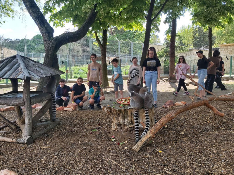 zoo7